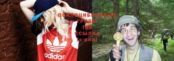 Альфа ПВП Абдулино